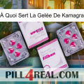 À Quoi Sert La Gelée De Kamagra 33